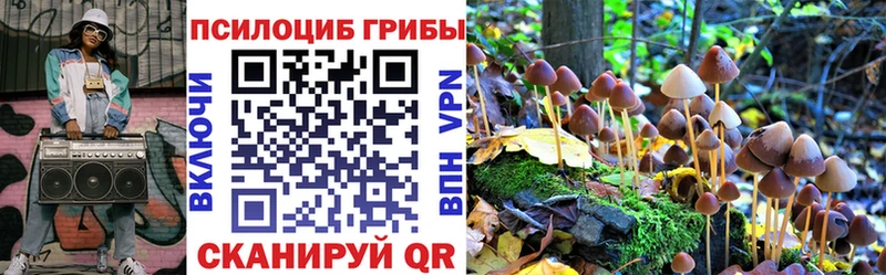 Галлюциногенные грибы Psilocybe  Козловка 